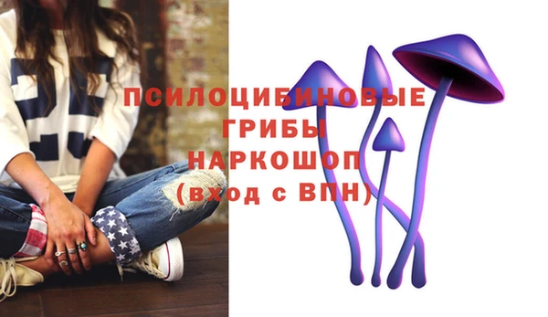 прущая мука Баксан