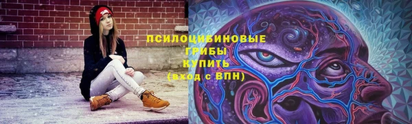 соль ск Балабаново