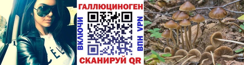 цена наркотик  Унеча  Галлюциногенные грибы Psilocybe 