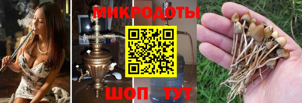 Псилоцибиновые грибы прущие грибы  закладки  Унеча  Вход с VPN  Галлюциногенные грибы MAGIC MUSHROOMS 